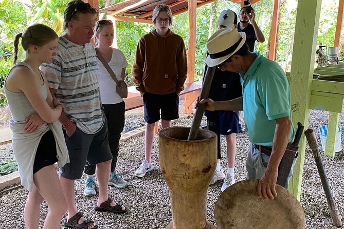 Half Day Private Tour in Dominican Republic with Local Guide - What the $115 price really buys