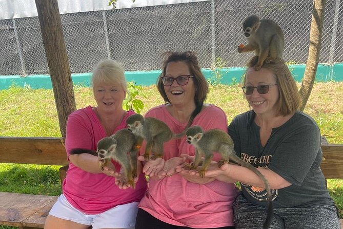 Half Day Puerto Plata City Tour and Monkey Home Visit - Key things to know before you go