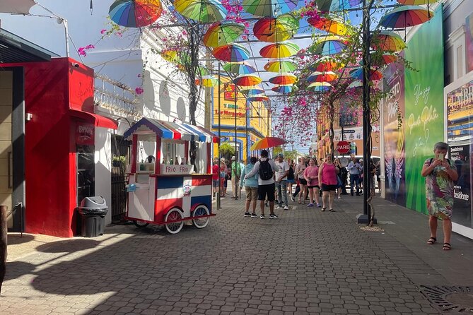Half Day Puerto Plata City Tour and Monkey Home Visit - A stop at Del Oro Chocolate Factory