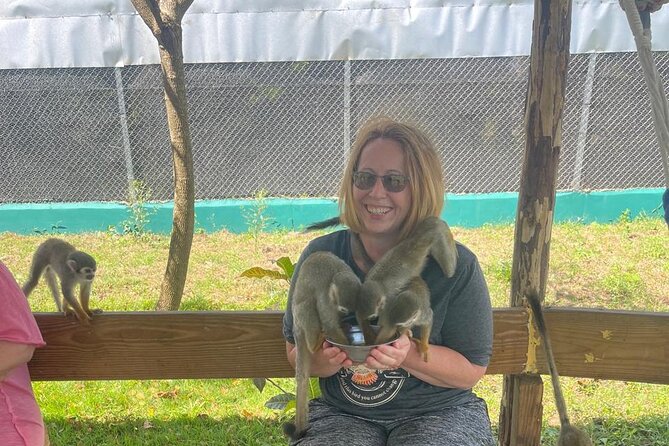 Half Day Puerto Plata City Tour and Monkey Home Visit - Seeing Puerto Plata from above