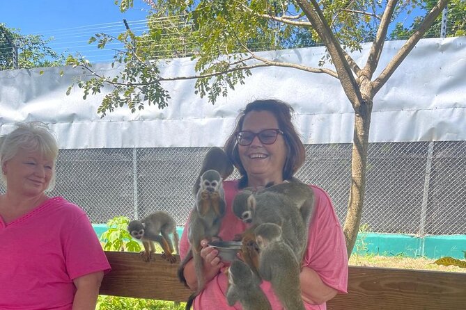 Half Day Puerto Plata City Tour and Monkey Home Visit - Cruise timing and the risk of feeling rushed