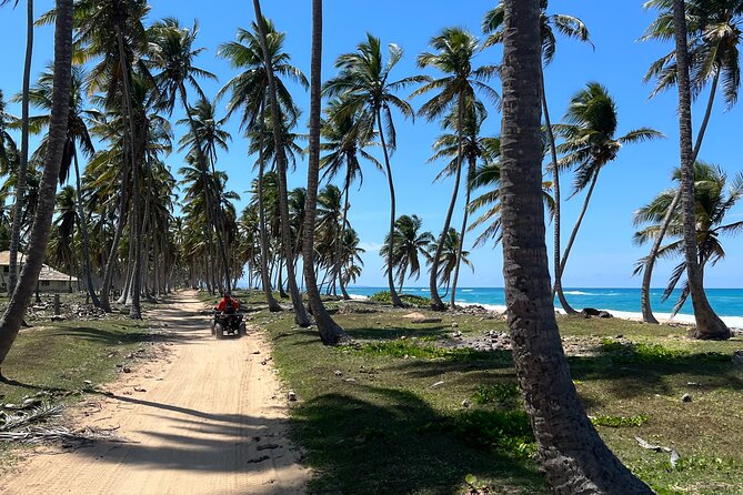 Half Day Safari and ATV or horses from Punta Cana - Key points at a glance