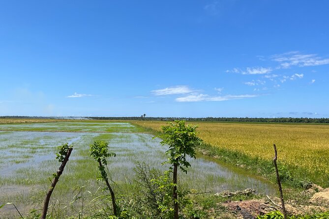 Half Day Safari and ATV or horses from Punta Cana - Playa Limon, coconut, and a coastal swim
