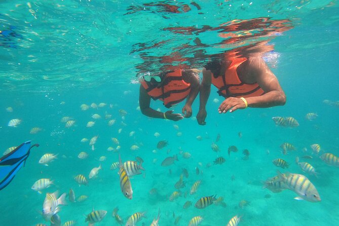 Half-Day Snorkeling Cruise and Natural Pool with Open Bar - Thirty minutes over a reef with tropical fish