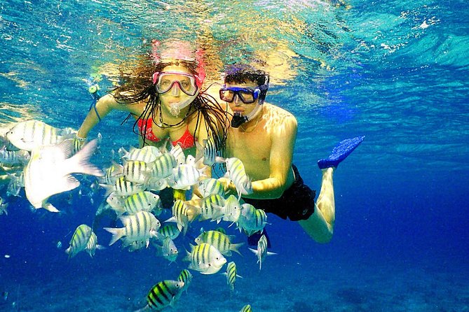 Happy Hour Party Boat With Snorkeling - The First Snorkeling Stop and the Staircase to the Sea