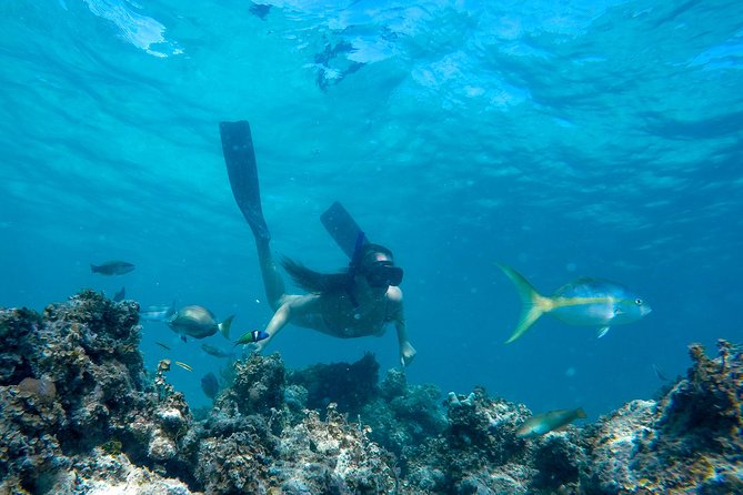 Happy Hour Sailing Cruise from Punta Cana - Snorkeling at the coral reef