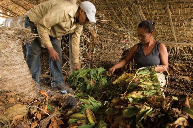 Higuey City Tour - A Cultural Experience From Punta Cana - Who Will Enjoy This Outing Most?