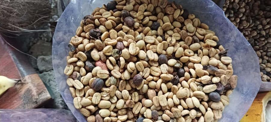 Higuey discovery, coffee and cocoa tasting from punta cana - Key points at a glance