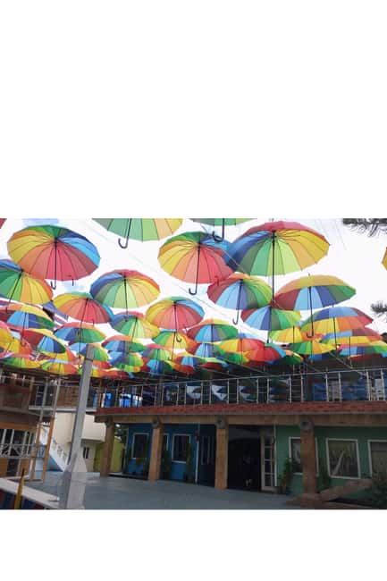 Higuey discovery, coffee and cocoa tasting from punta cana - What this Punta Cana day trip really offers