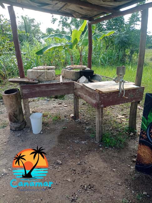 Higuey discovery, coffee and cocoa tasting from punta cana - Higüey markets: food, color, and daily life
