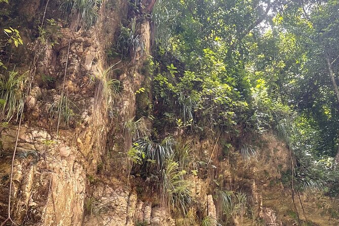 Hiking the 27 Waterfalls of Damajagua Tour from Santo Domingo - Hiking through forest and across bridges