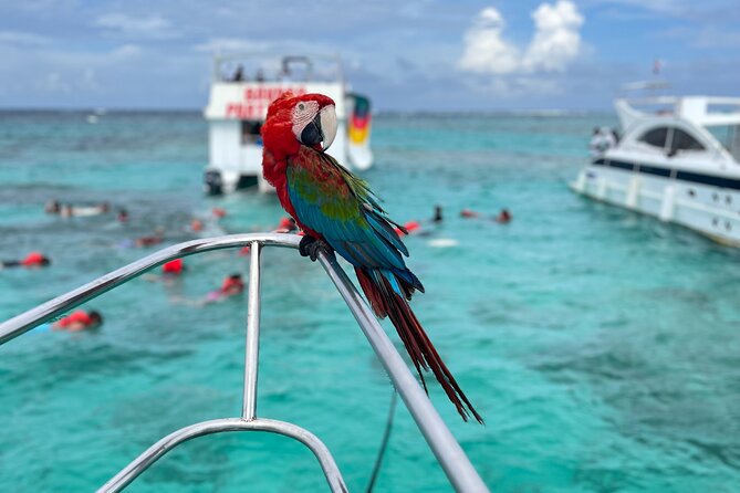 Hip Hop Party Boat with Snorkeling Punta Cana - The Natural Pool and the Longest Water Stop