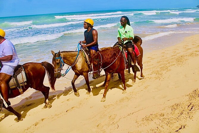 Horse Back Riding Adventure in Punta Cana - Meeting your horse at the Punta Cana ranch