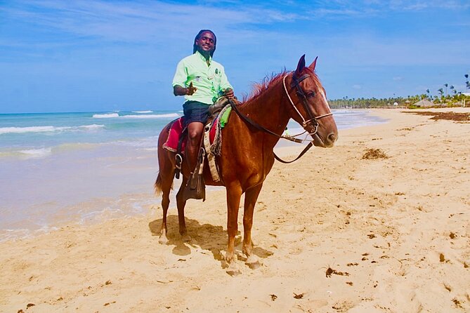 Horse Back Riding Adventure in Punta Cana - The river stop and changing scenery