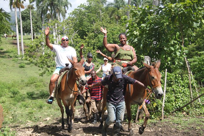 Horse back riding (Punta Cana/Bavaro) - From Punta Cana resorts to Macao’s rural side