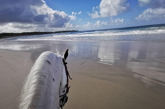 Horse Riding Experience through El Limon Beach - Arriving at secluded El Limon Beach