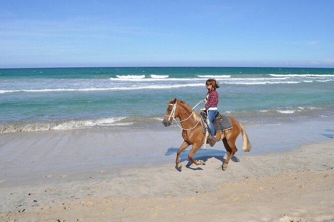 Horse Riding Experience through El Limon Beach - How the private format works for different riders