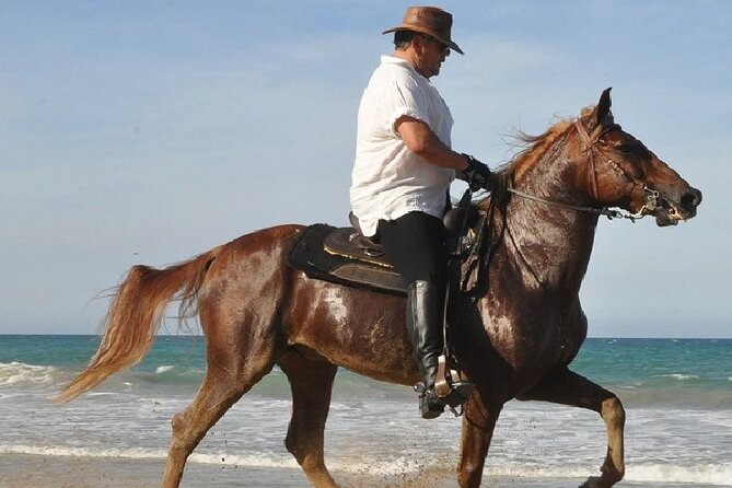 Horse Riding Experience through El Limon Beach - Arturo’s role in making the ride work