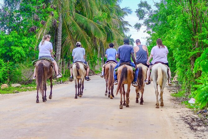 HORSEBACK - RIDE Through Punta Cana - Who will enjoy this ride most