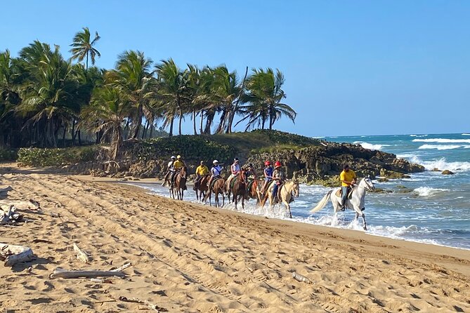Horseback Riding Adventure Punta Cana - Key points to know before you book