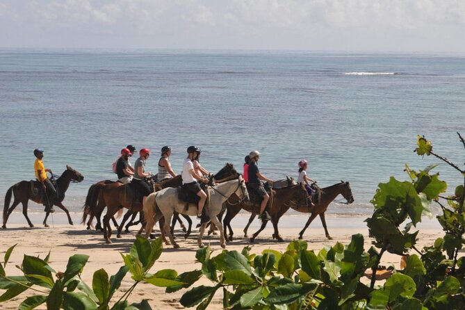 Horseback Riding Adventure Punta Cana - Guides, safety, and the pace of the group