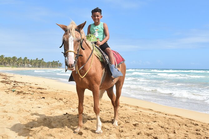 Horseback Riding Adventure Punta Cana - Is $40 a fair price?
