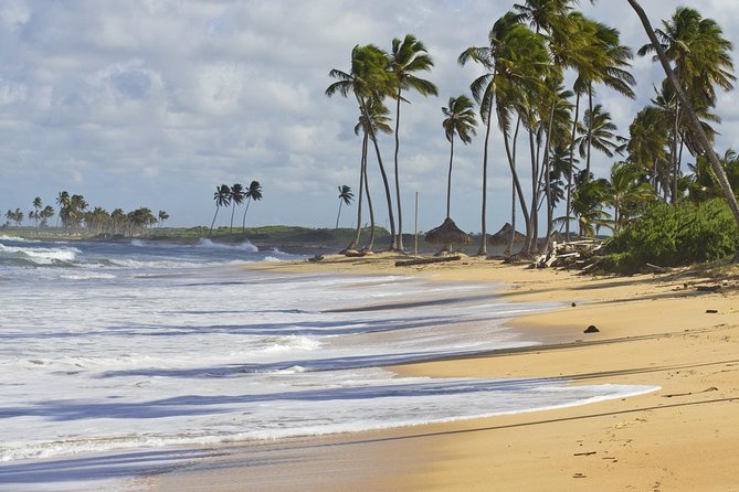 Horseback Riding Adventure Punta Cana - What to bring and how to prepare