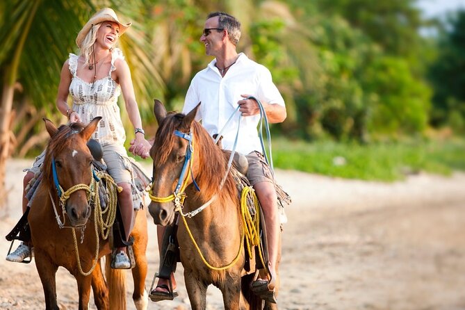 Horseback Riding Adventure to Macao Alto Beaches in Punta Cana - Key points to know before you book