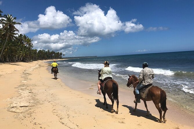 Horseback Riding Adventure to Macao Alto Beaches in Punta Cana - From your hotel to the Dominican countryside