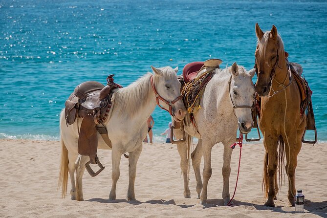 Horseback Riding Adventure to Macao Alto Beaches in Punta Cana - Riding past villages and farmland