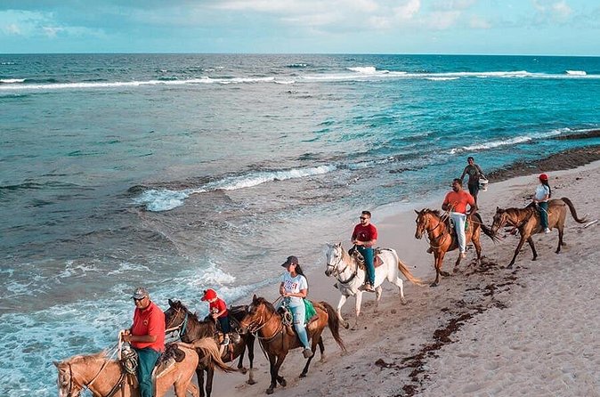 Horseback Riding Adventure to Macao Alto Beaches in Punta Cana - Who will enjoy this ride most