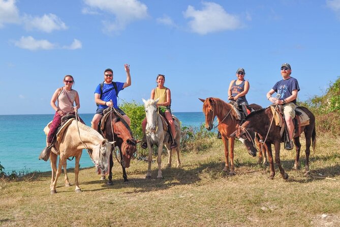 Horseback riding along Macao beach from Punta Cana - Key points before you book