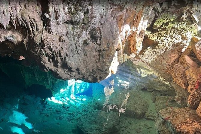 Horseback Riding and Buggy and Macau Cave and Beach Tour - Coffee, cocoa, mamajuana, and cigars at the casa típica