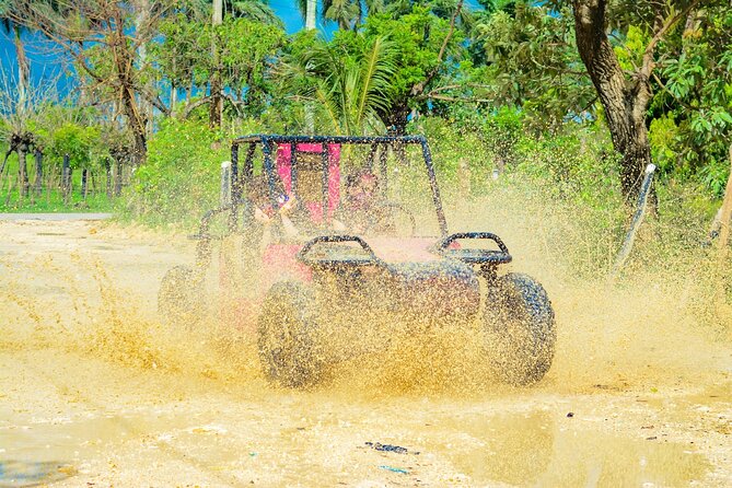 Horseback Riding and Buggy and Macau Cave and Beach Tour - Who will enjoy this tour most
