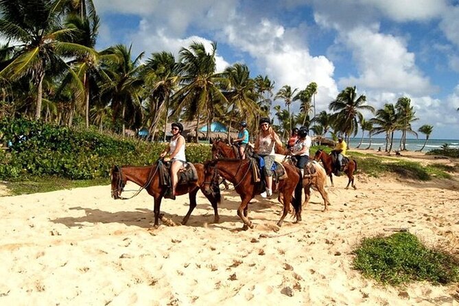 Horseback Riding at Macao Beach - Key points to know before you book