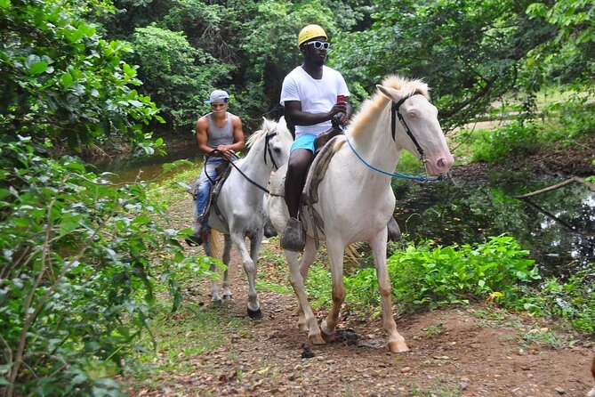 Horseback Riding at Macao Beach - From the ranch to Macao Beach