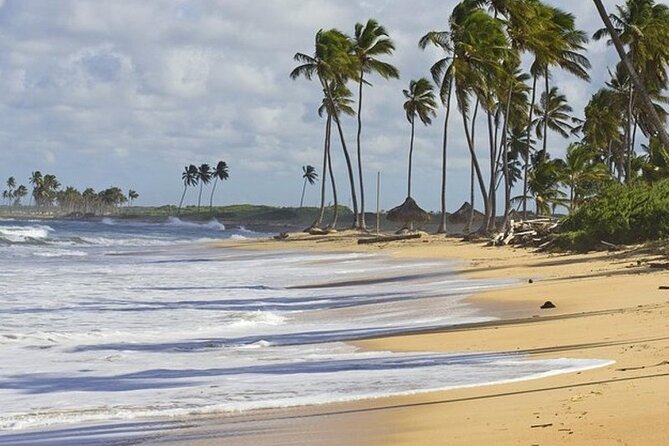 Horseback Riding at Macao Beach - What a private tour changes