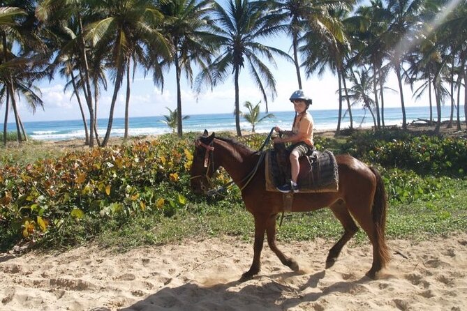 Horseback Riding at Macao Beach - How the $69.99 price works for you