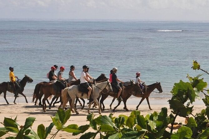 Horseback Riding at Macao Beach - Timing, transport, and practical planning