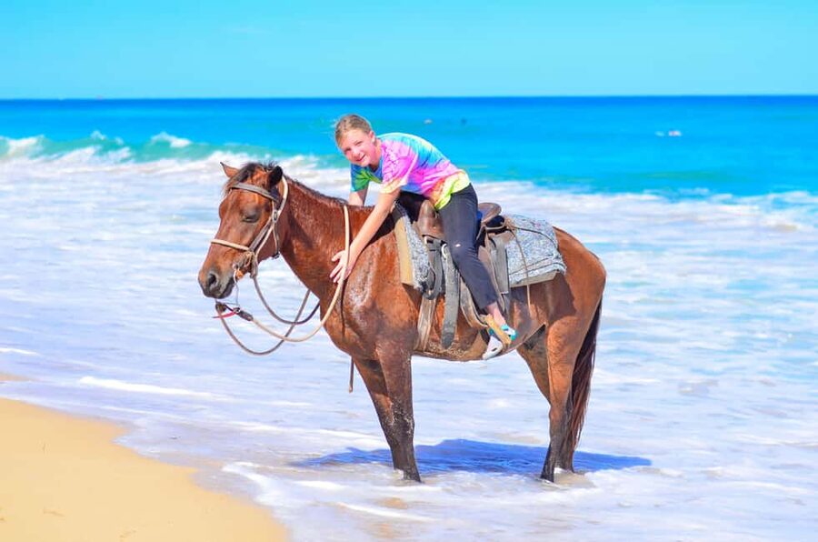 Horseback Riding at Macao Beach and River with Transfers - Why the forest approach makes this more than a beach transfer