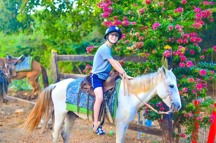 Horseback Riding at Macao Beach and River with Transfers - What $62 buys you