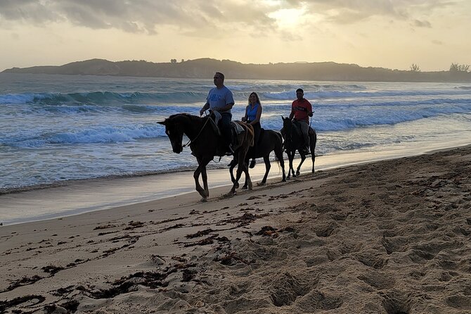Horseback Riding at Sunrise on the Beach of Punta Cana - The early pickup and ride to the beach