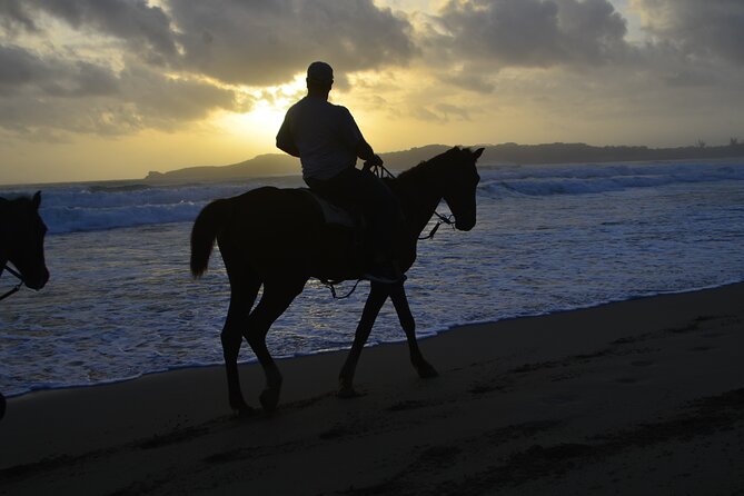 Horseback Riding at Sunrise on the Beach of Punta Cana - Photos, memories, and the practical tradeoffs