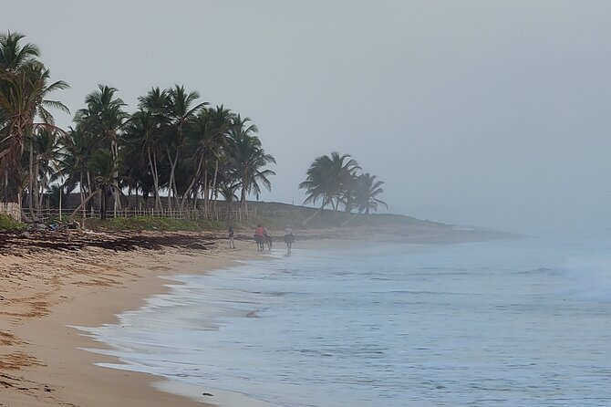 Horseback Riding at Sunrise on the Beach of Punta Cana - Who will enjoy this horseback ride most?