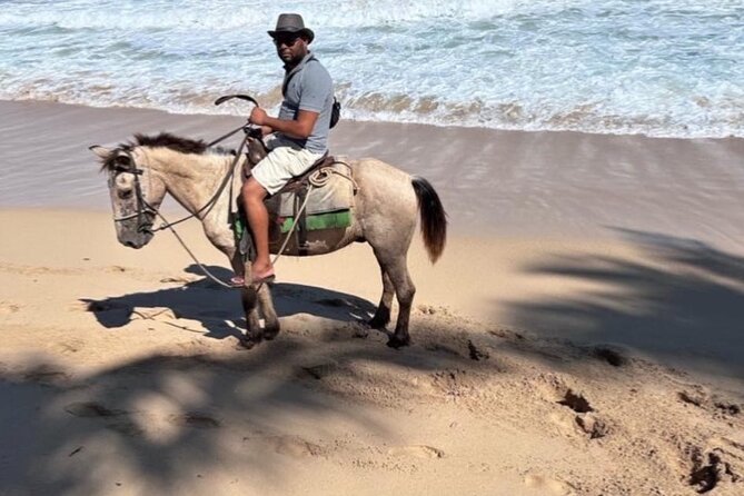 Horseback Riding Experience in Punta Cana - What the roughly two-hour outing includes