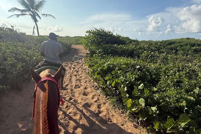 Horseback riding in punta cana beach and Bayahibe - Macao Beach is public, not a private resort beach