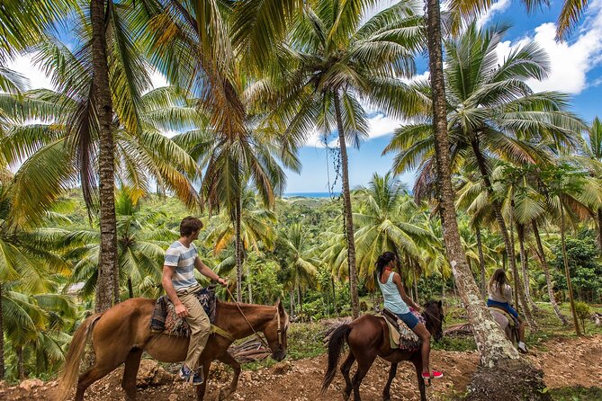 Horseback Riding in the Dominican Jungle - Key points to know before booking