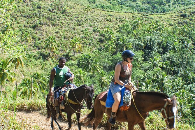 Horseback Riding in the Dominican Jungle - The biggest issue: horseback riding or a Saona Island day?