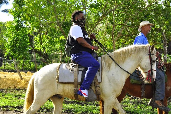 Horseback Riding in the Dominican Jungle - What I would bring and what I would confirm