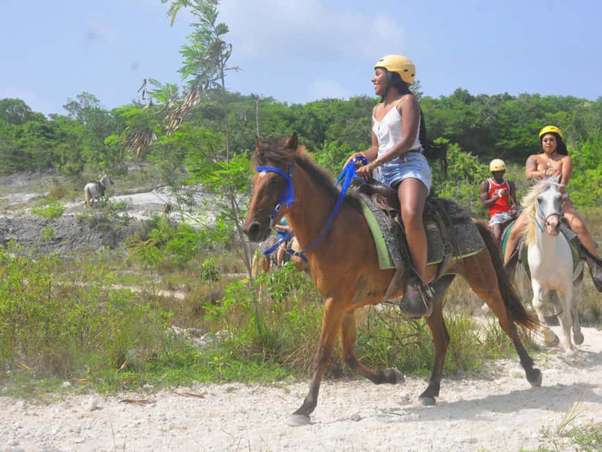 Horseback Riding Macao Beach Experience Paradise onHorseback - Meeting the horses and choosing your ride